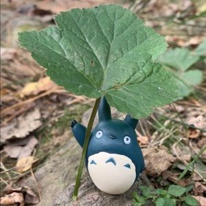 Meet your Posher, Dani